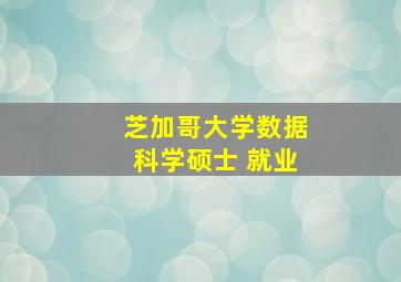 芝加哥大学数据科学硕士 就业